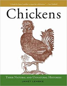Chickens: Their Natural and Unnatural Histories 4